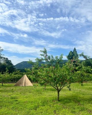 田口ファミリーファーム - 宮崎県延岡市の果樹農園